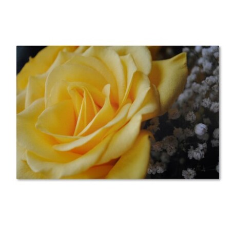 Trademark Fine Art Monica Fleet 'Maha'oi' Canvas Art, 22x32 MF095-C2232GG